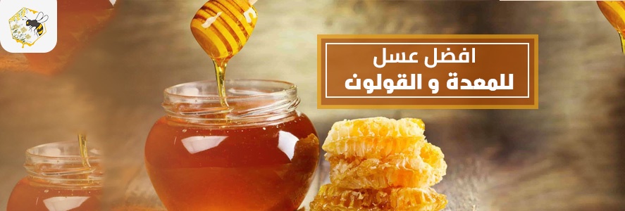افضل عسل للمعدة