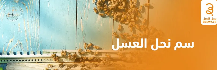 سم نحل العسل
