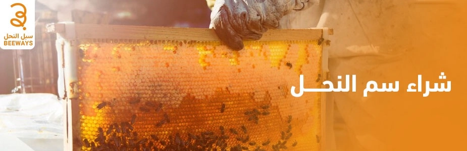 شراء سم النحل