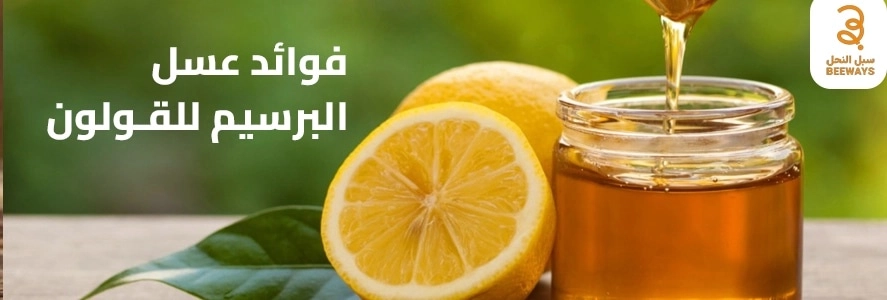 فوائد عسل البرسيم للقولون