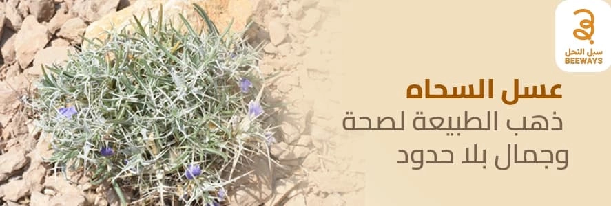 فوائد عسل السحاه