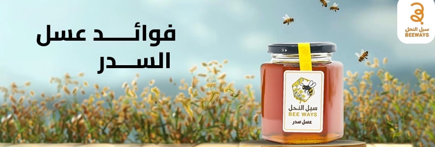 فوائد عسل السدر